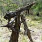 artillery