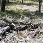 rocket.debris